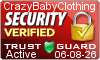 Security Seal