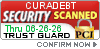 Security Verified Seal