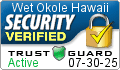 Security Verified