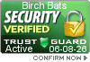 Security Verified