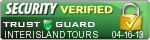 Security Seal