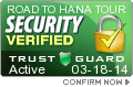 Security Seal