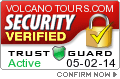 Security Seal