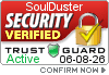 Security Seal